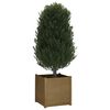 vidaXL Garden Planter Honey brown Solid pine wood Large Durable
