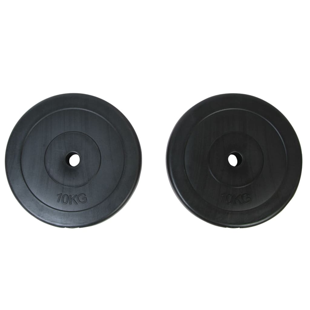 vidaXL Weight Plates 2x22 lb