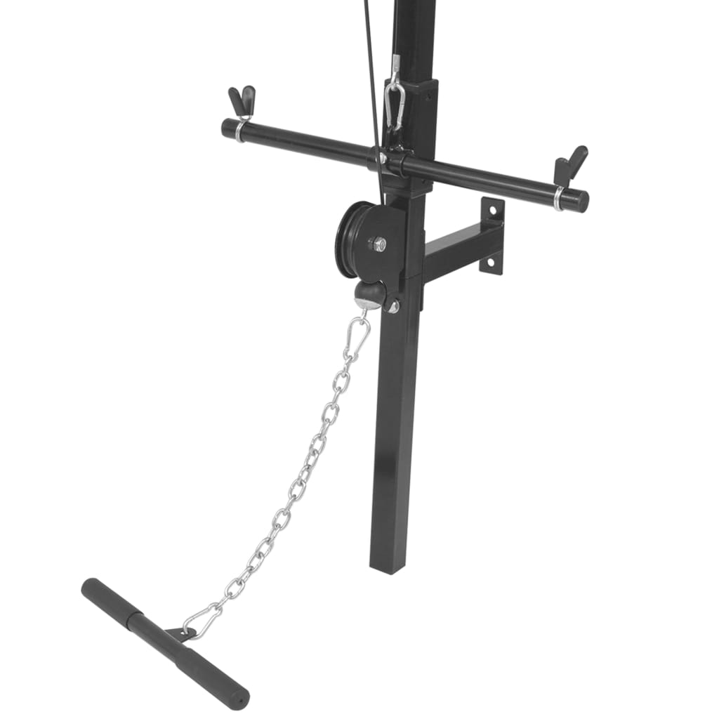 vidaXL Wall-mounted Home Gym with 2 Pulleys