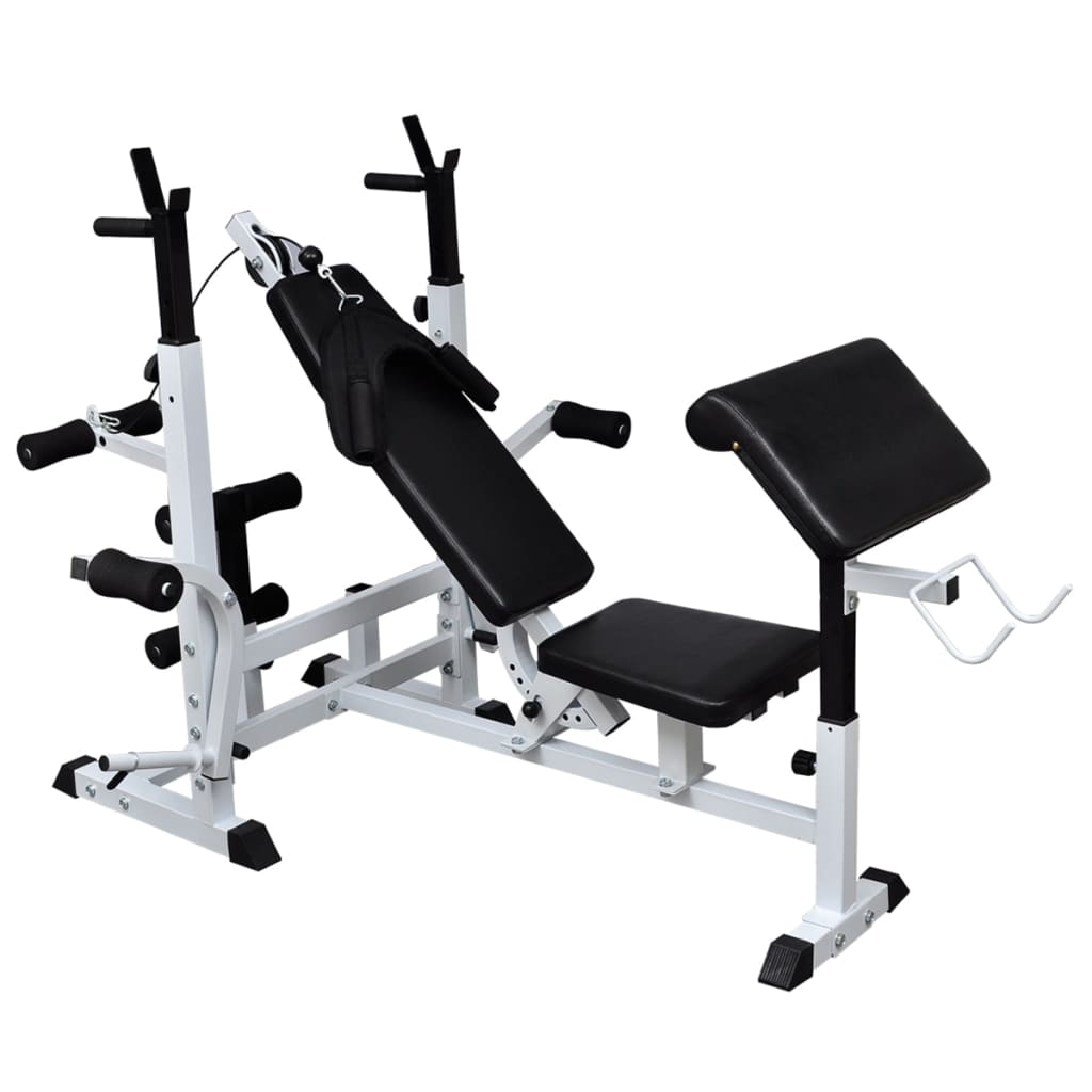 vidaXL Weight Bench with Weight Rack, Barbell and Dumbbell Set 264.6 lb