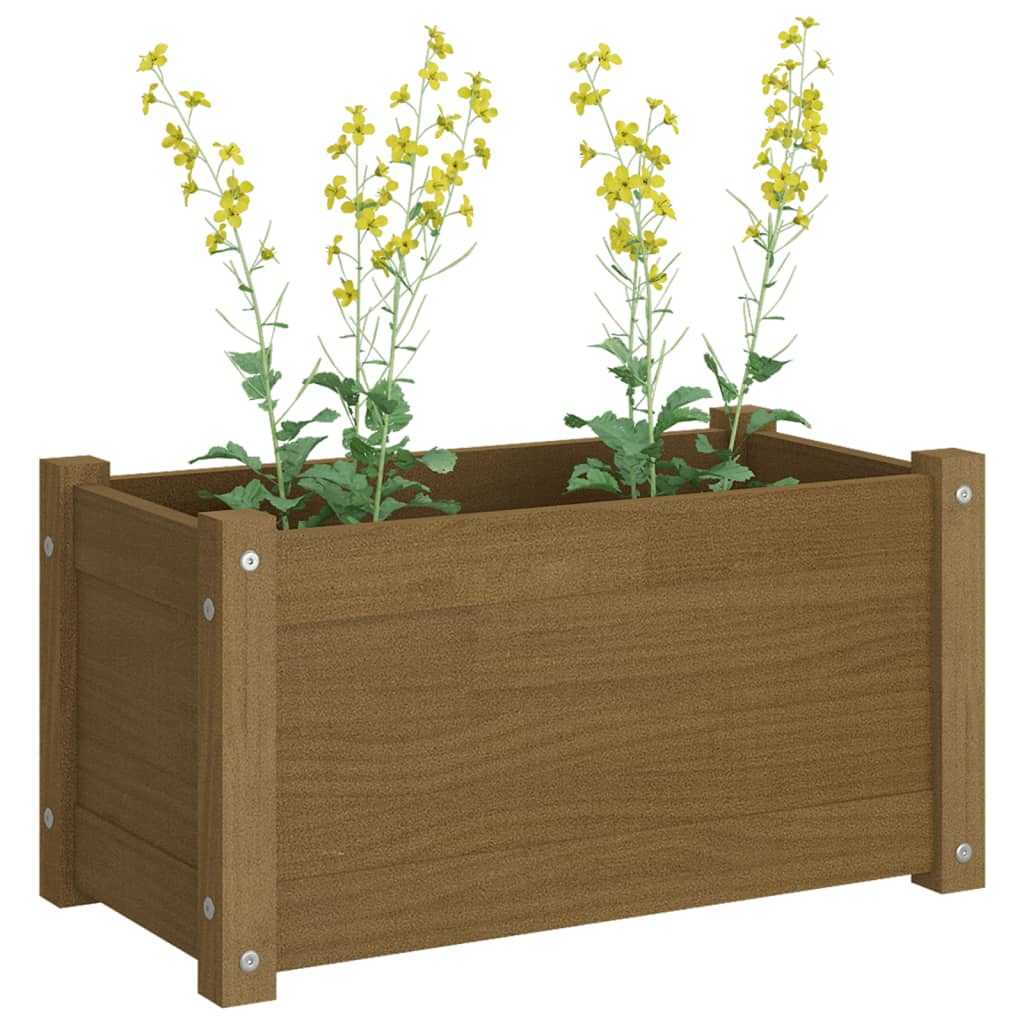 vidaXL Garden Planters 2 pcs Honey Brown 23.6"x12.2"x12.2" Solid Wood Pine