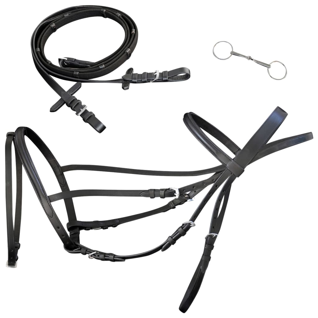 vidaXL Flash Bridle with Reins and Bit Leather Black Pony