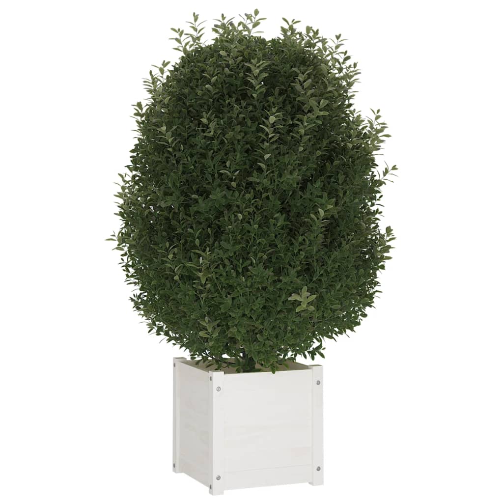 vidaXL Garden Planters 2 pcs White 15.7"x15.7"x15.7" Solid Wood Pine