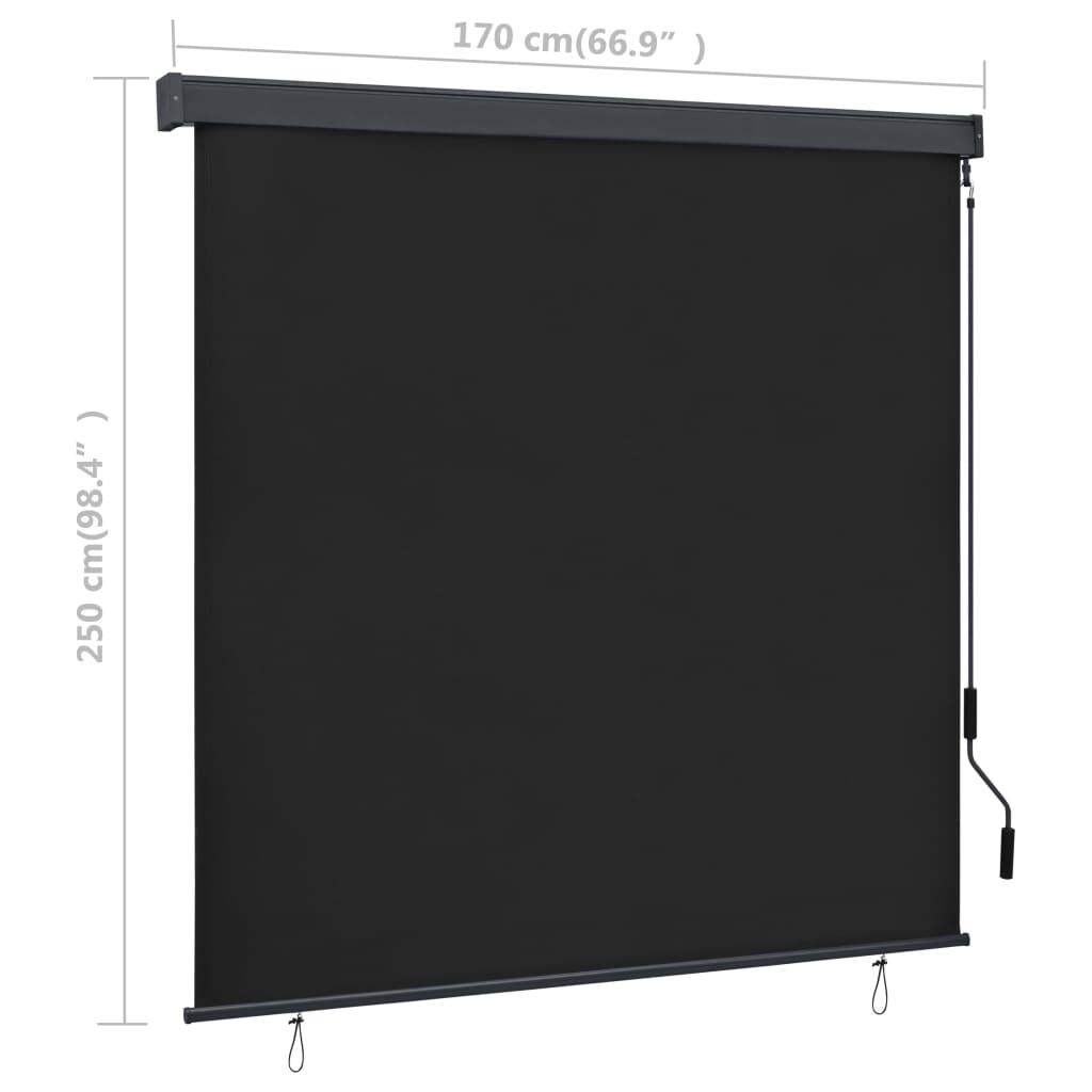 vidaXL Outdoor Roller Blind 66.9"x98.4" Anthracite